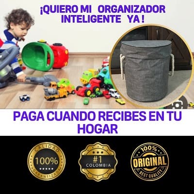 ORGANIZADOR INTELIGENTE DE JUGUETES