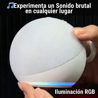Parlante Inteligente Tipo Alexa