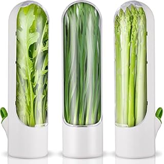 CONSERVADOR DE VERDURAS