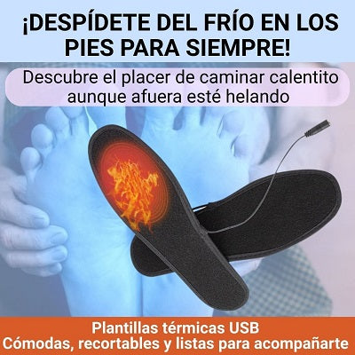 Plantillas Termicas